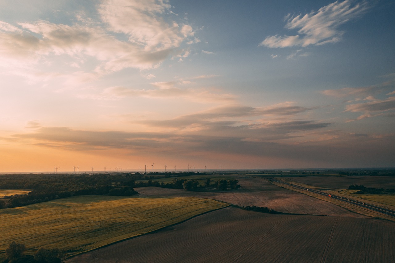 Fields Featured Image