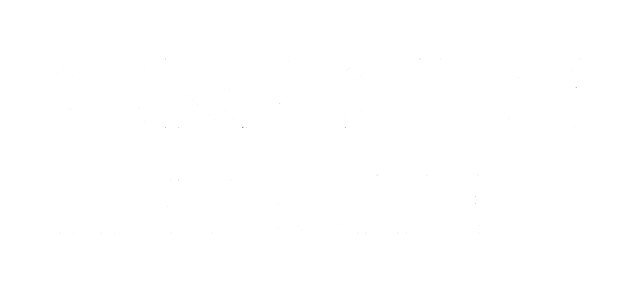 Oracle Netsuite Logo