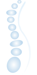 Spine Image